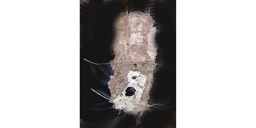 2014  obra intervenida… tierra y luna