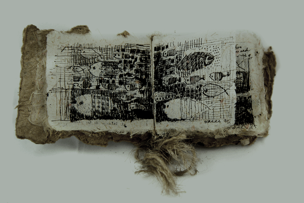año 1995……..librito abierto …una de las muchas paginas..