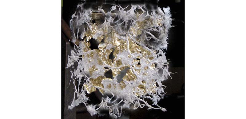2005 obra inmaterial